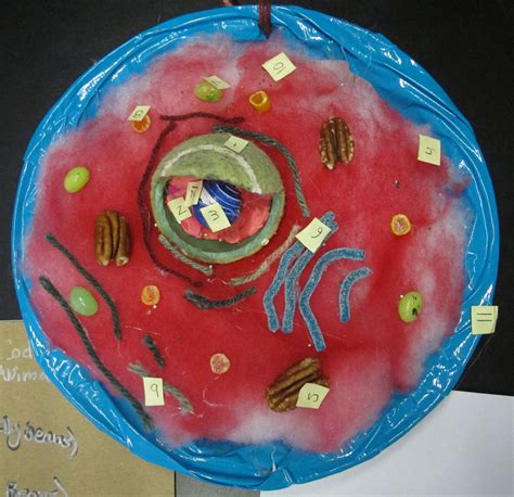 Let us know in the comments below! Animal cell, 2014. | Cell model project, Cell model ...
