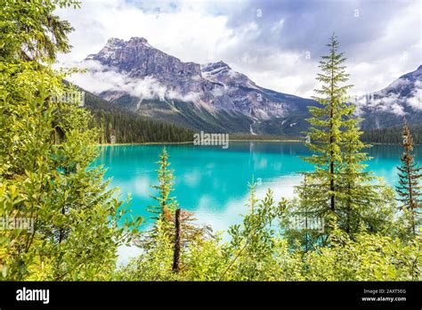 Emerald Lake British Columbia Canada Stock Photo Alamy