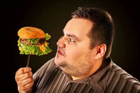 Hombre Gordo Comiendo Hamburguesa De Comida R Pida Desayuno Para Personas Con Sobrepeso