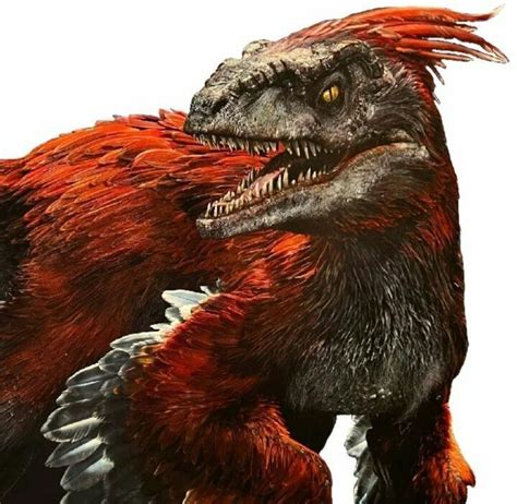 Pyroraptor Feather Red Raptor In 2022 Jurassic World Jurassic Park World Jurassic Movies