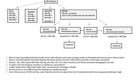 Chronic Hepatitis B Diagnosis And Management Algorithm • Grepmed
