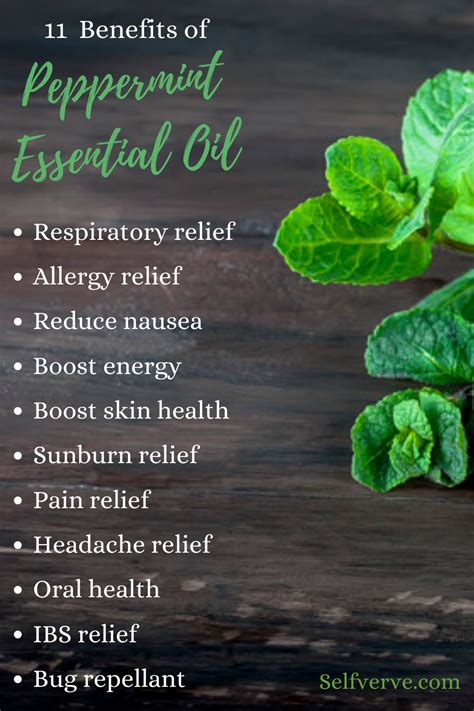 11 Benefits Of Peppermint Essential Oils Peppermint Essential Oil