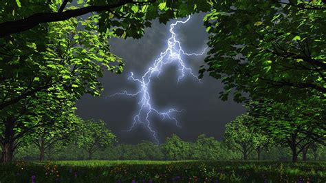 Images Of Natural Scenery Green And Prosperous Plants A Lightning
