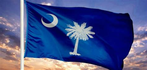 History Of South Carolinas State Flag South Carolina Fyi