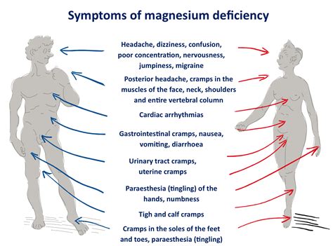 16 Magnesium Deficiency Symptoms Signs Of Low Magnesium Levels The