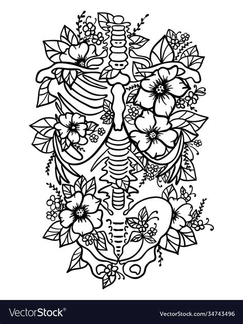 Human Skeleton Floral Ribs Pelvis Bones Torso Svg Vector Image