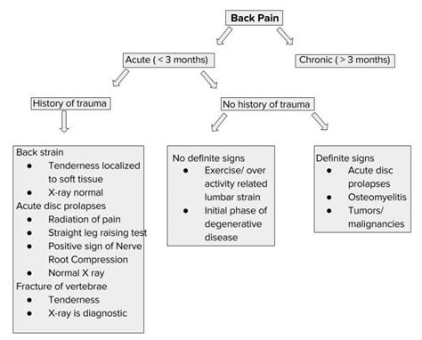 Acute Back Pain — Clinical Features And Differential Diagnosis