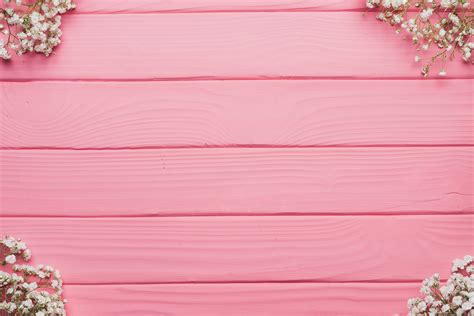 Free Photo Pink Background Abstract Mexico Vector Free Download