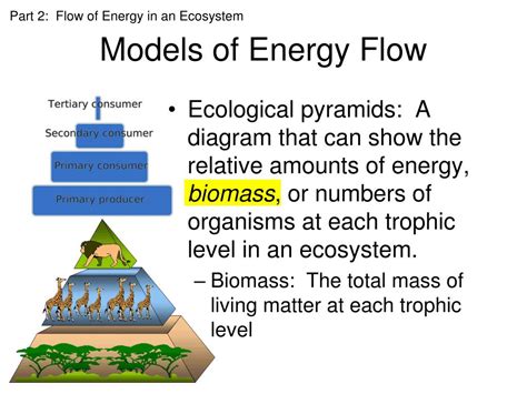 Ppt Ecology Powerpoint Presentation Id423922