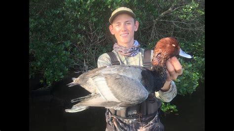 Florida Duck Hunting Banded Duck 33 Youtube