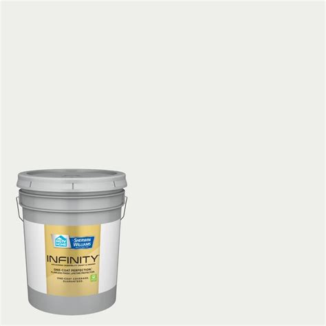 Hgtv Home By Sherwin Williams Infinity Eggshell Extra White Hgsw4005