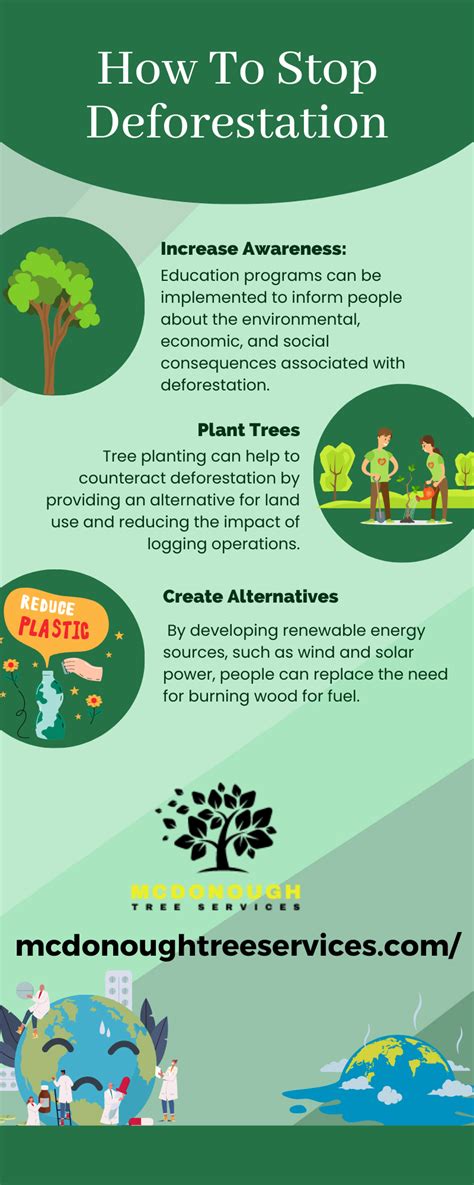 How To Stop Deforestation Infographic Professional Business