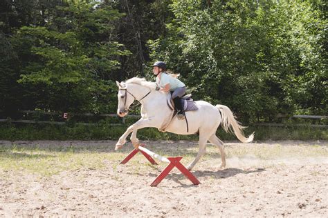 Summer Camp Jobs At Camp Birchwood For Girls And Birchwood Wilderness