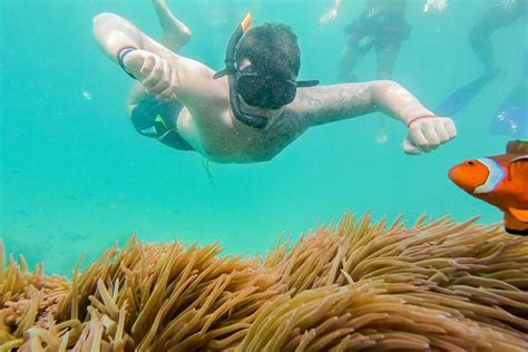 From Phuket Phi Phi And Khai Islands Snorkeling By Speedboat Getyourguide