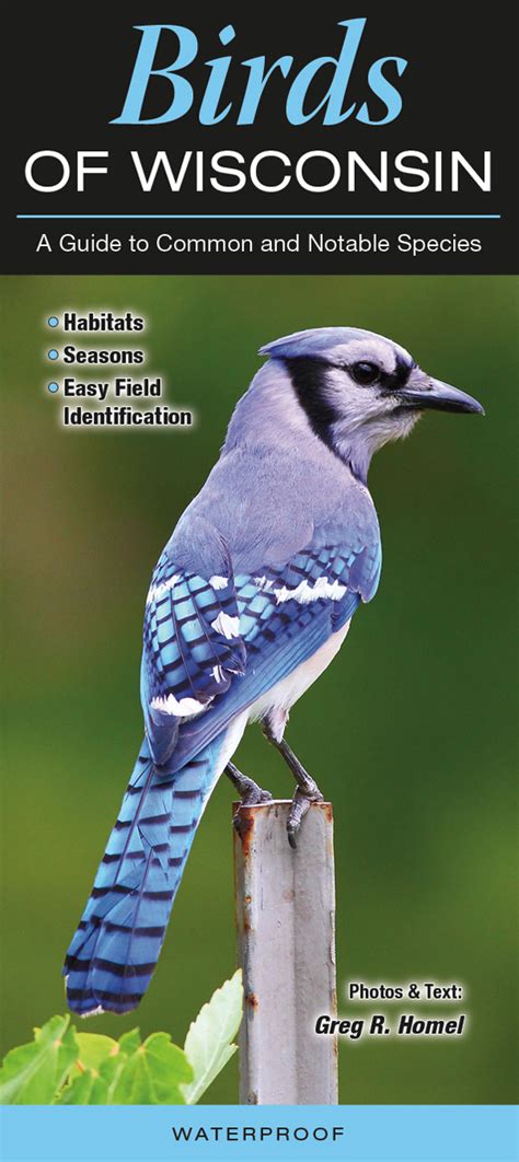 Birds Of Wisconsin Quick Reference Publishing