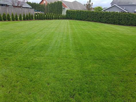 Lawn Mowing And Edging Best Lawn Cutting Service In The Lynden Wa Area