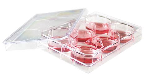 Cell Culture Plate Products Topscien Instrument Ning Bo Coltd