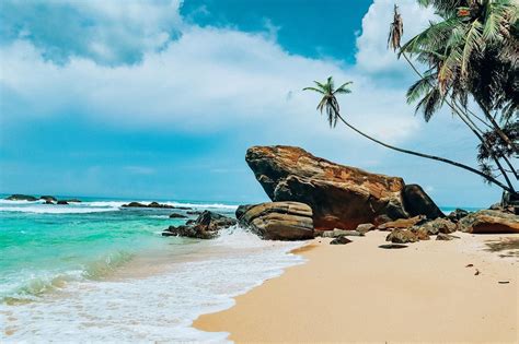 Total Paradise Beaches In Sri Lanka 🇱🇰🌴☀️🐢 This One Is Located At