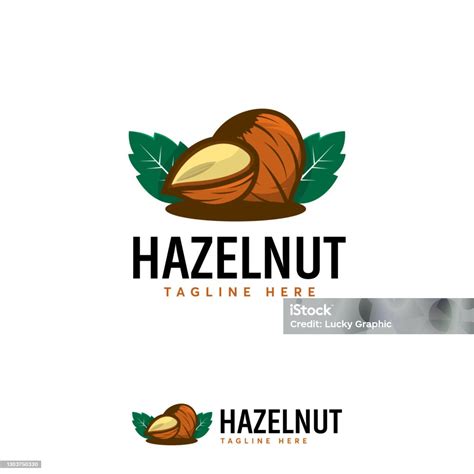 Detailed Hazelnut Logo Designs Vector Illustration Of Hazelnut Fruit