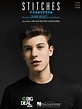 Shawn Mendes: Stitches (Vídeo musical) (2015) - FilmAffinity