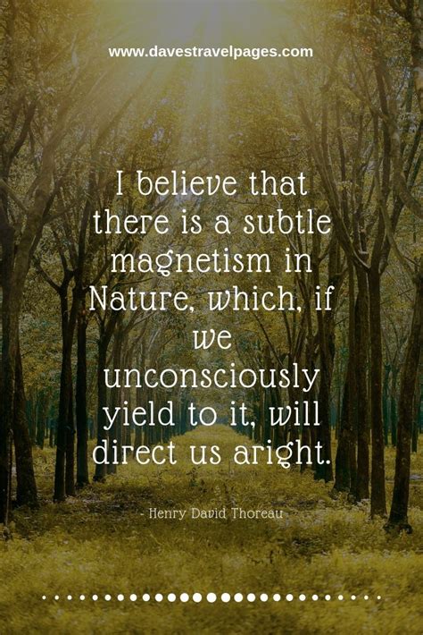 Nature Sayings I Believe That There Is A Subtle Magnetism In Nature