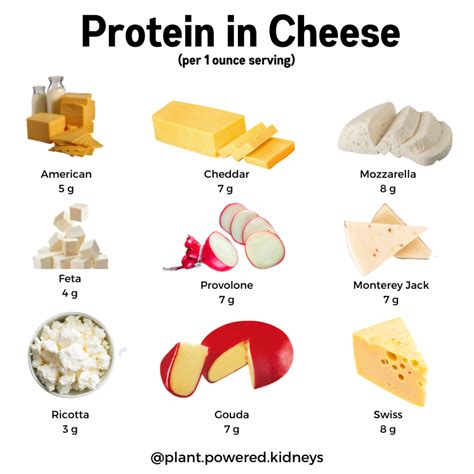 Is Cheese High In Potassium Protein Phosphorus And More