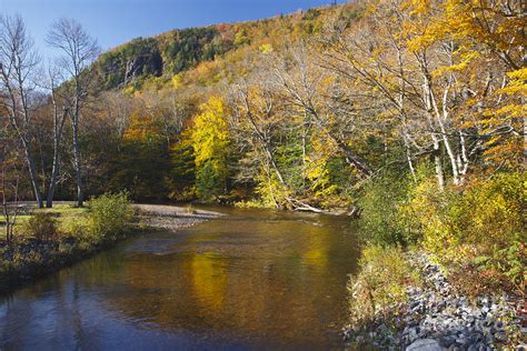 Saco River White Mountains National Forest New Hampshire
