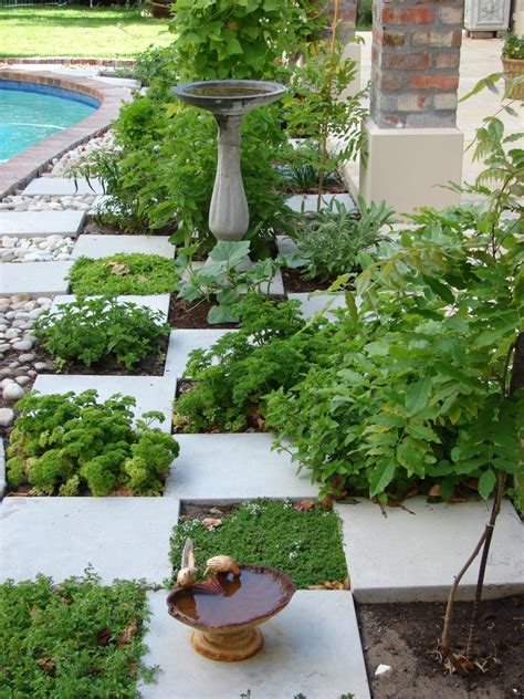 A Beautiful Herb Garden Idea Incorporate Herbs Between The Stepping