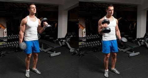 5 Exercises To Build Fantastic Forearms