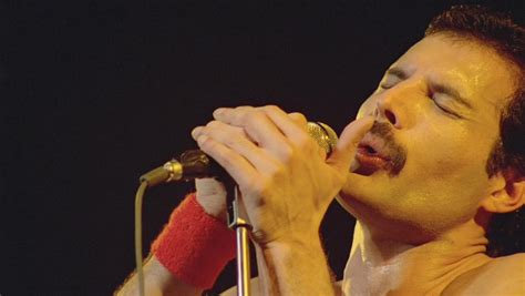 25 Años Sin Freddie Mercury Una Voz ícono Del Rock Revista Show Up