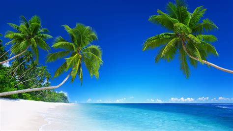 Tropical Beach Paradise 5k Wallpapers Hd Wallpapers Id 18455