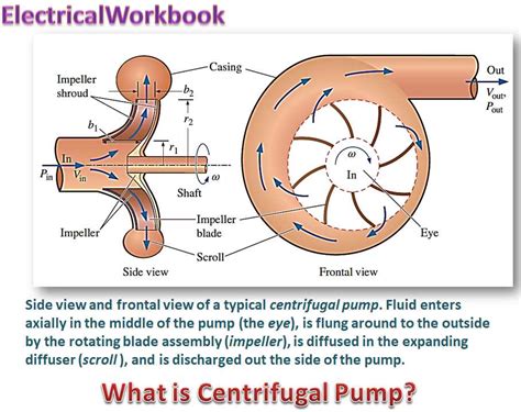 The Complete Guide To Understanding Impeller Pump Diagrams Everything