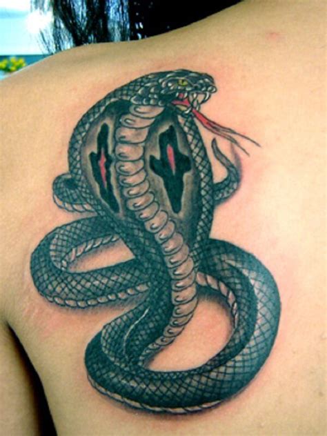 Dedication tattoo is a world renowned tattoo shop located on south broadway in denver, colorado. 21+ King Cobra Tattoo Designs & Ideas | PetPress | Cobra tattoo, King cobra tattoo, Snake tattoo ...