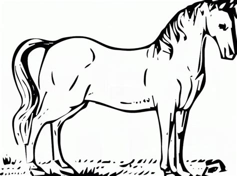 Itulah kumpulan ide mewarnai gambar kuda poni dengan beragam ekspresi. Koleksi Gambar Binatang Kuda