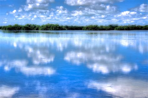 Wallpaper Sunlight Trees Landscape White Sea Lake Nature Shore