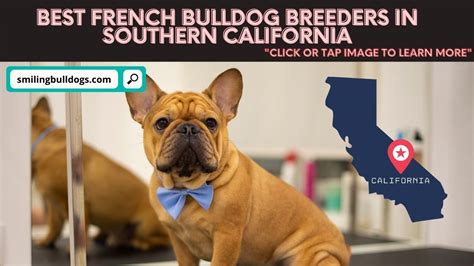 I am about 2 hours from san diego, about the same distance from los angeles. 5 Best French Bulldog Breeders In Southern California ...