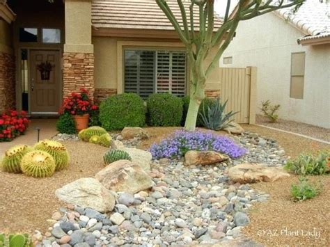 Desert Landscape Plants Best How Much Water Do My Landscaping With