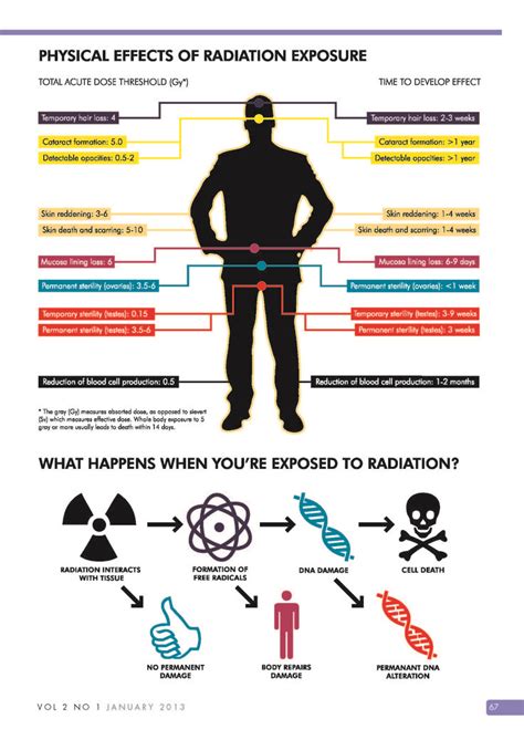 Radiation Risks Infographic 2 Radiation Exposure Radiation Infographic