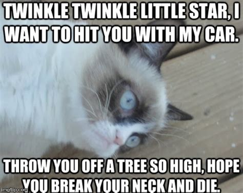 Grumpy Cat Likes To Sing Imgflip