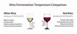 Cuál Es La Mejor Temperatura De Fermentación Del Vino Y Cómo Podría