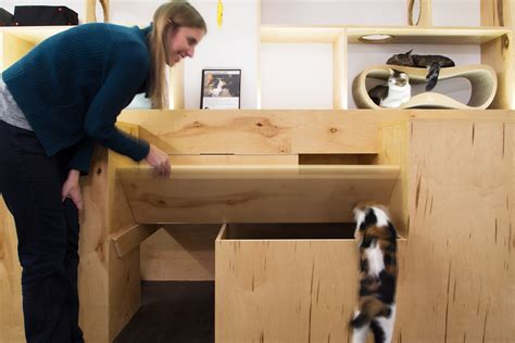 Meow Parlour Is A Modern Hangout For Nycs Adoptable Cats Features