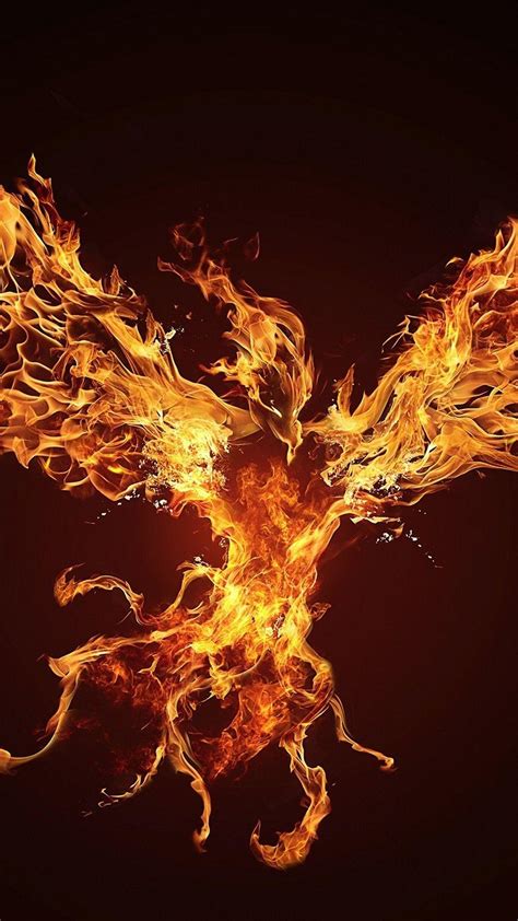 4k Phoenix Wallpapers Top Free 4k Phoenix Backgrounds Wallpaperaccess