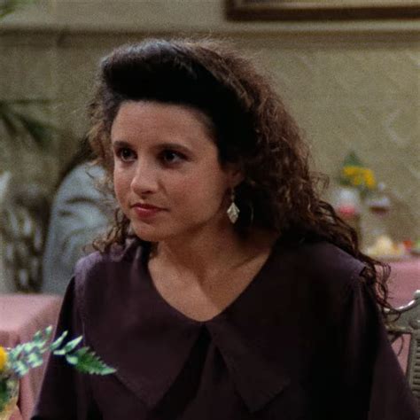 Elaine Benes Icon Seinfeld Elaine Benes Icon