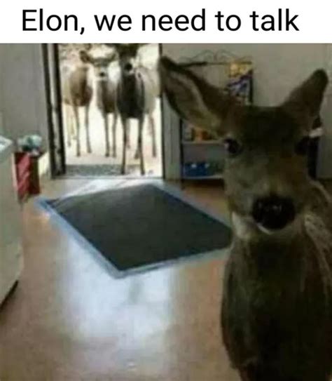 Oh Deer Pewdiepiesubmissions