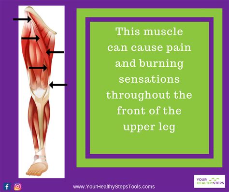 Upper Leg Muscles Pain