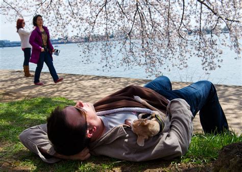 National Napping Day Monday Might Help You Adjust To Daylight Saving