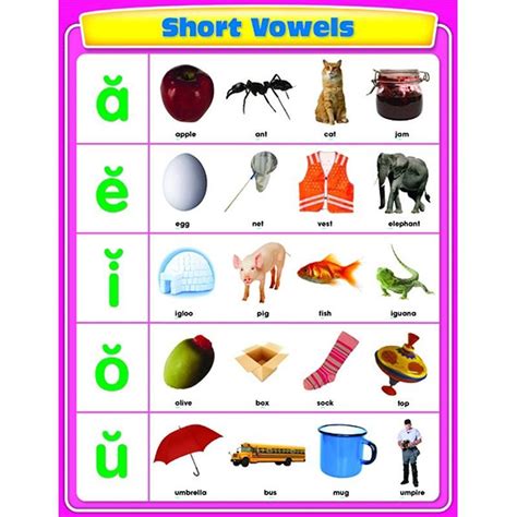 Scholastic Teacher S Friend Short Vowels Chart Multiple Colors Tf My