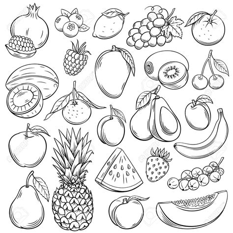 Vector Illustration Of Fruits Coloring Page Stock Vec
