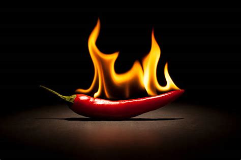 14800 Flaming Hot Chili Pepper Stock Photos Pictures And Royalty Free