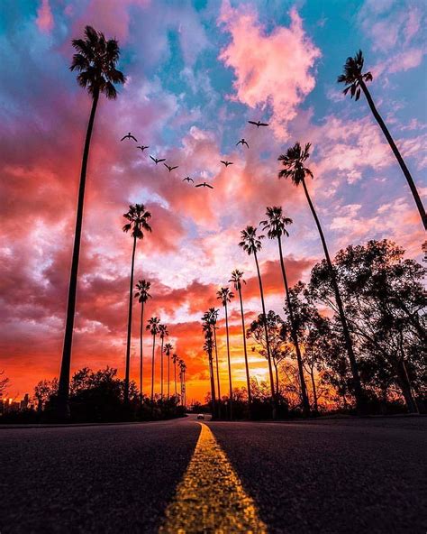 Sunset Road Palm Trees Hd Phone Wallpaper Peakpx
